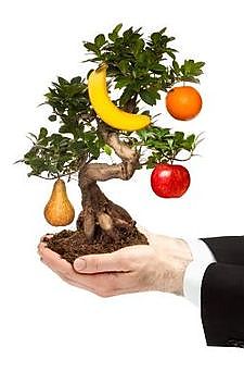 Coaching für Unternehmer*innen, Selbstständige, Freiberufler*innen in Münster & Bonn Coaching für Unternehmer*innen, Selbstständige, Freiberufler*innen in Münster & Bonn